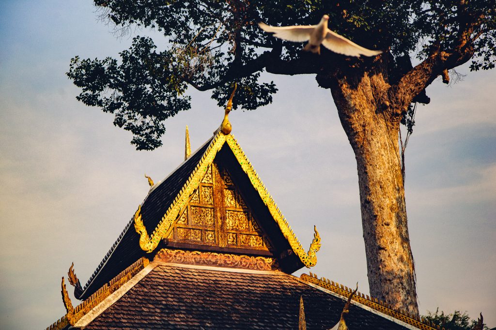 Wat Phra Singh Woramahawihan Chiang Mai